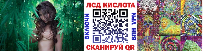 Марки 25I-NBOMe 1500мкг  Нефтегорск 